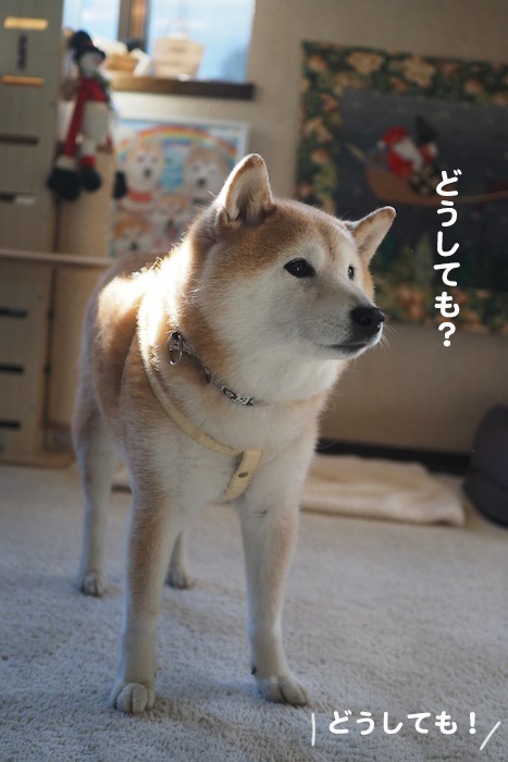 7日ブログ９