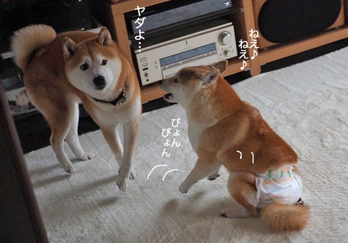 19日ブログ３