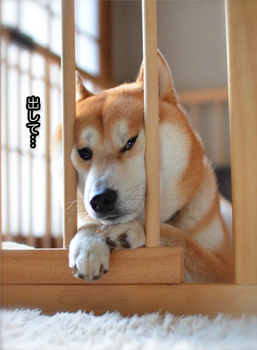 1日ブログ6.jpg