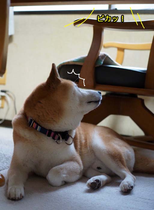 13日午後ブログ３