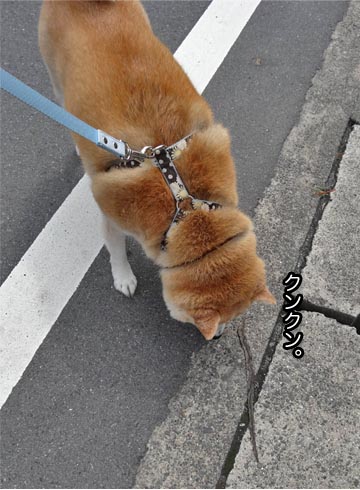27日ブログ3.jpg
