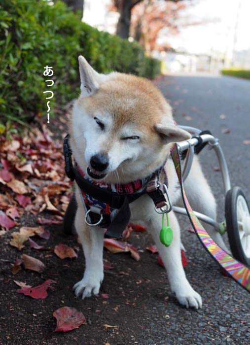 21日ブログ３