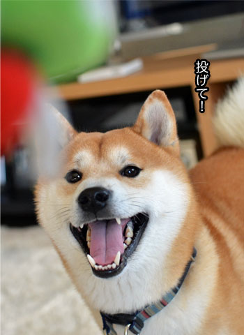 30日ブログ7.jpg