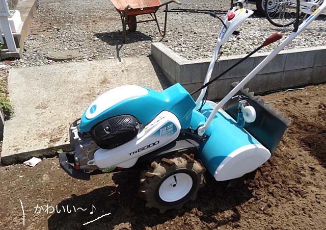 30ブログ7