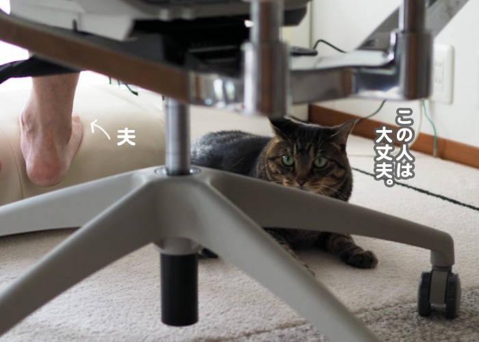 16日ブログ４