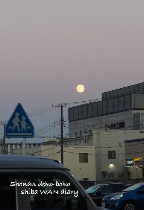 29日ブログ１