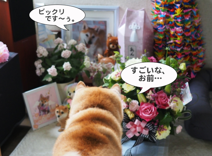 27日夕ブログ４