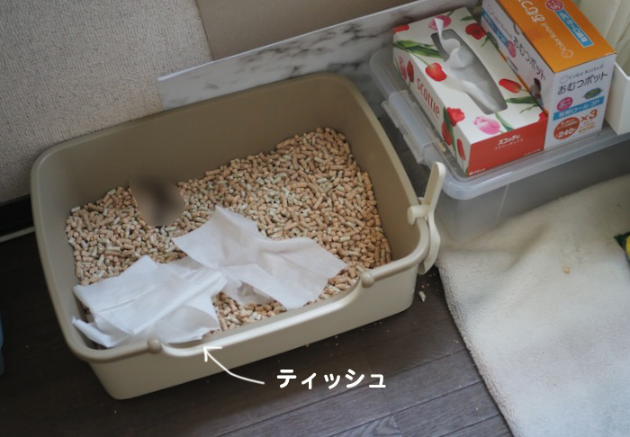 31日夕ブログ４