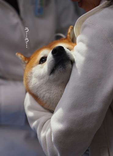 28日ブログ4.jpg