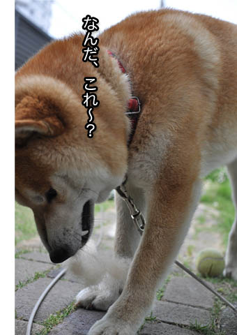 24日ブログ18.jpg