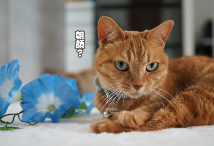 15日夕ブログ５