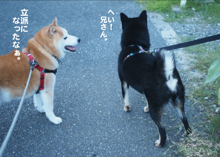 12日ブログ６