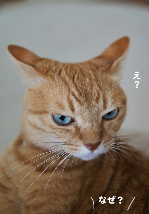 22日夕ブログ3