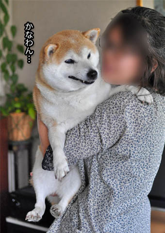 28日ブログ4.jpg