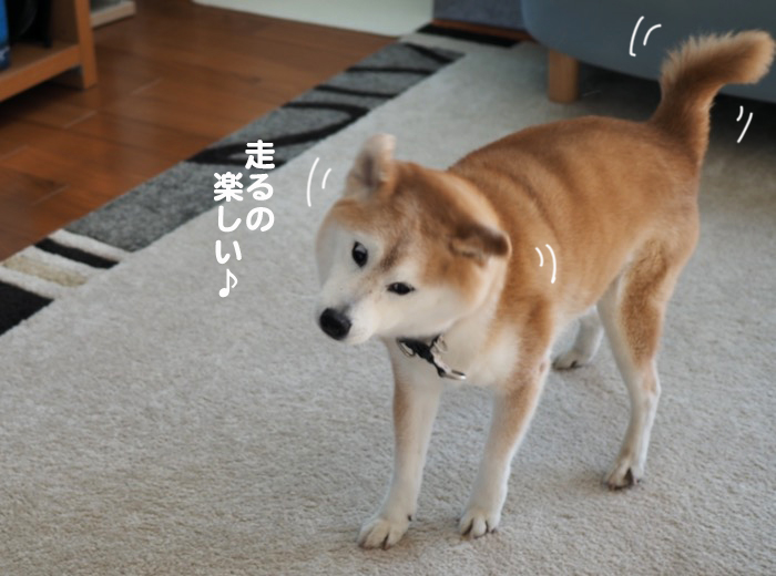 25日夕用5