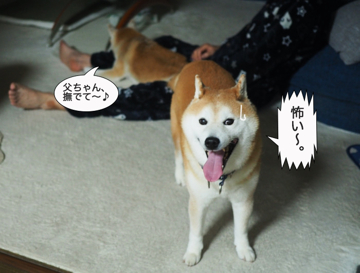 1日夜ブログ４
