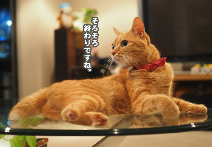 3日夕ブログ２