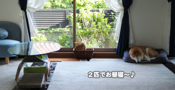 1日夕ブログ１１