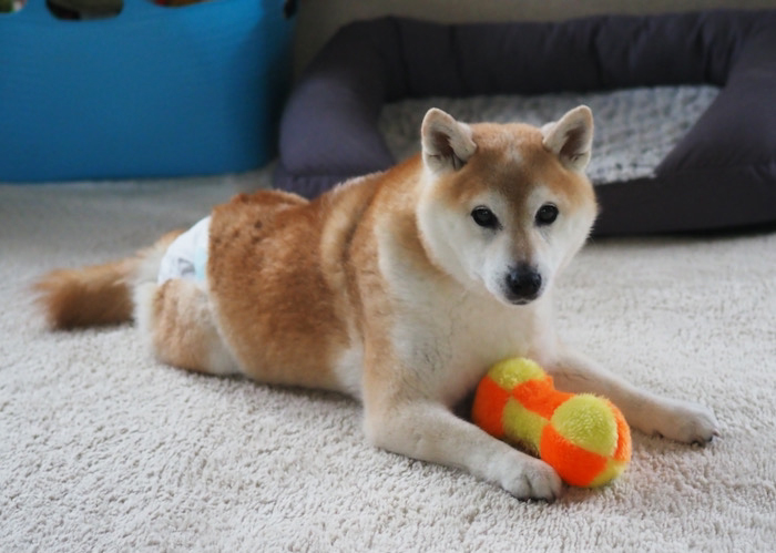 5日朝ブログ１