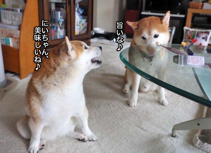 2日夜ブログ７