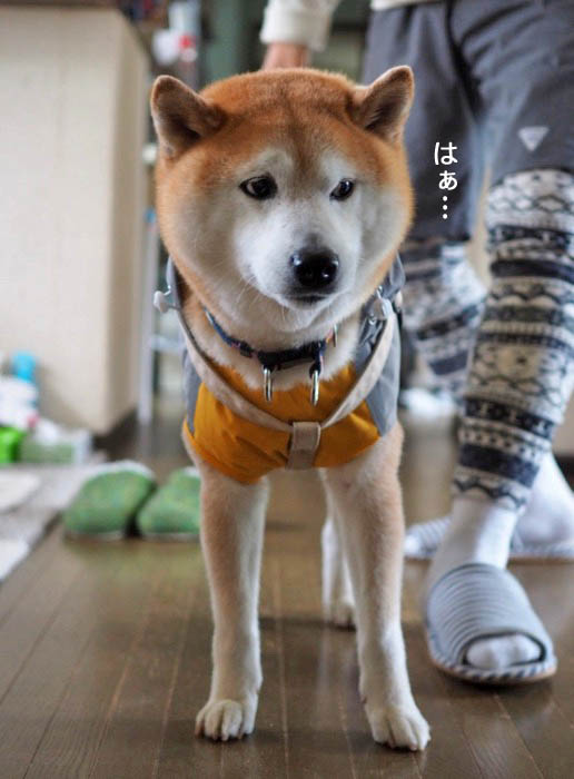 13日夜ブログ５