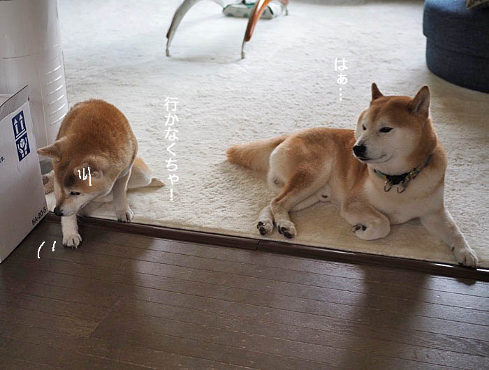 2日ブログ７