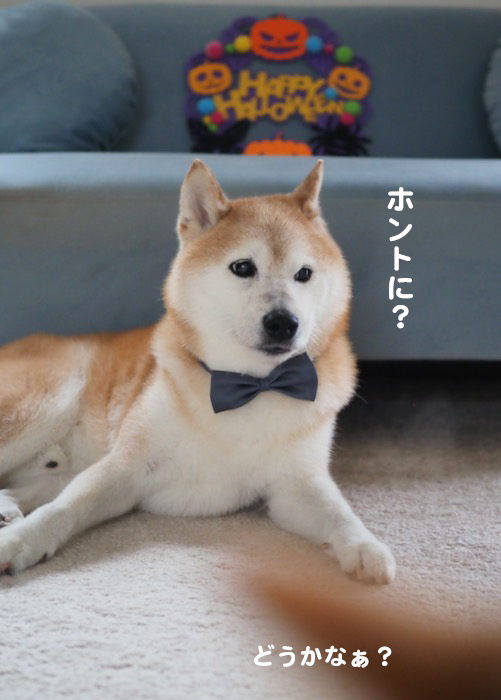 19日のブログ２