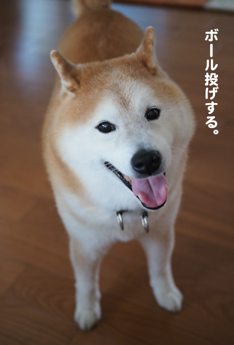 14日夕ブログ２