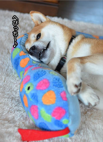 5日ブログ3.jpg