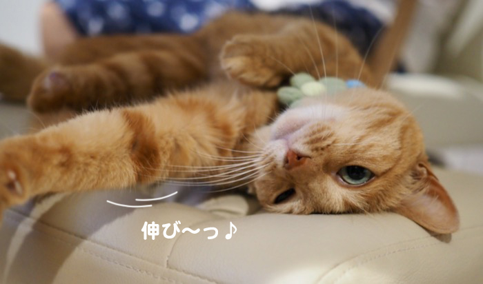 6日夕ブログ６-(1)