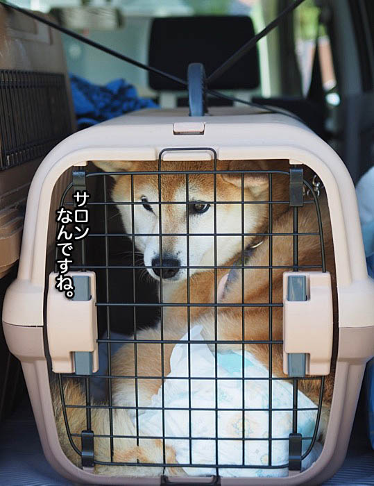 24日午後ブログ3