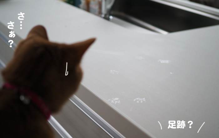 13日ブログ２