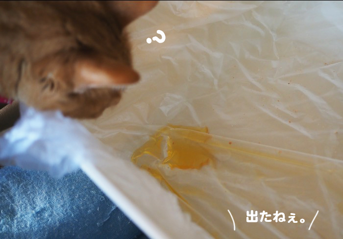 9日夕ブログ１２