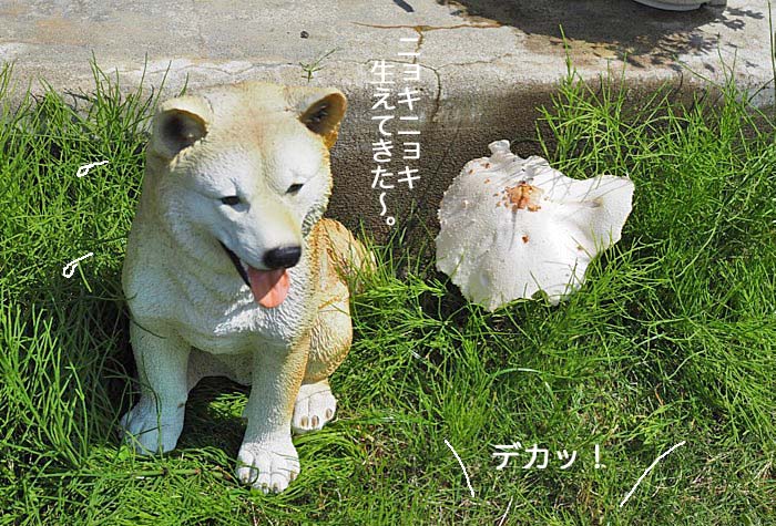 6日午前ブログ6