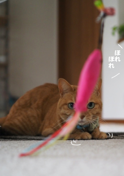 9日夕ブログ４
