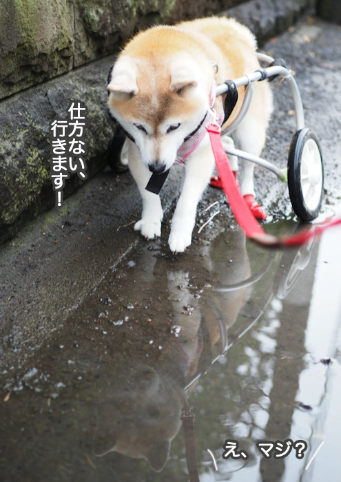 11日ブログ４
