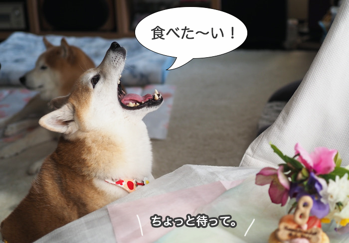 4日夜ブログ３