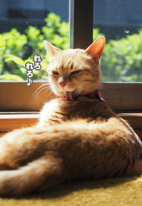 15日夕ブログ3