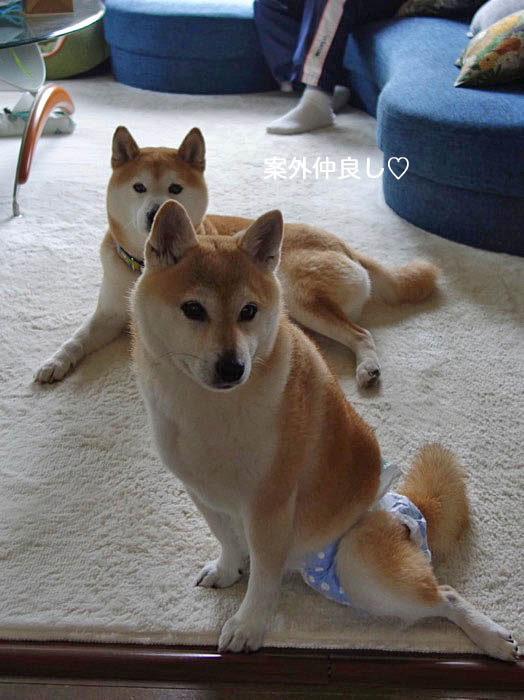 19日ブログ１１