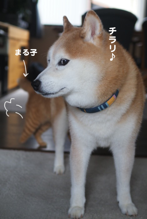 9日ブログ４