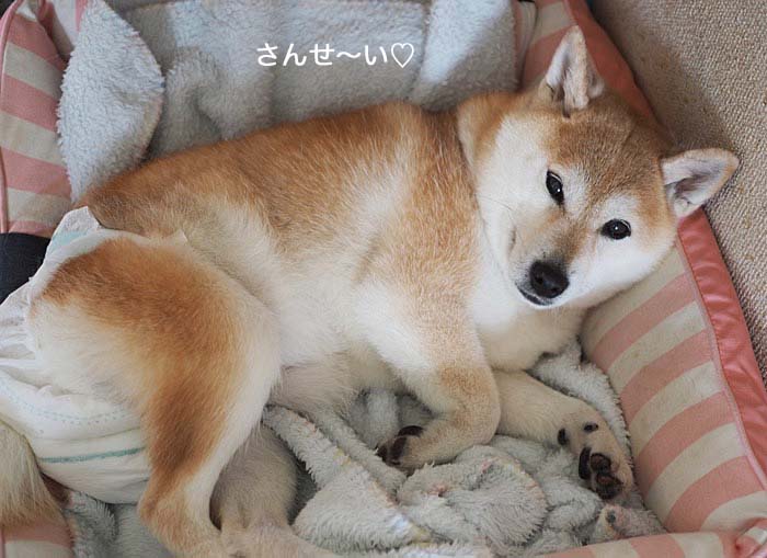 4日ブログ７