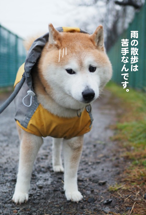 5日夜ブログ4