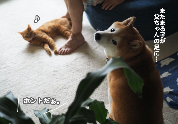 12日夕ブログ２