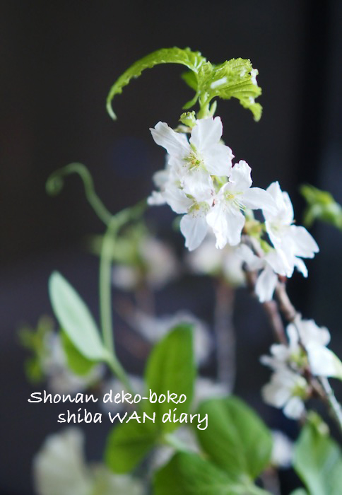 13日ブログ１