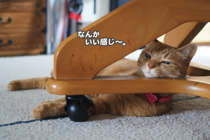 21日夕ブログ５