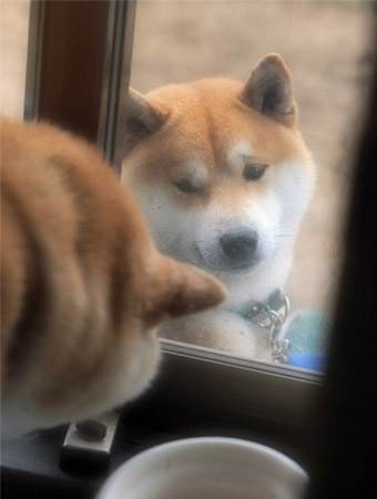11日ブログ6.jpg