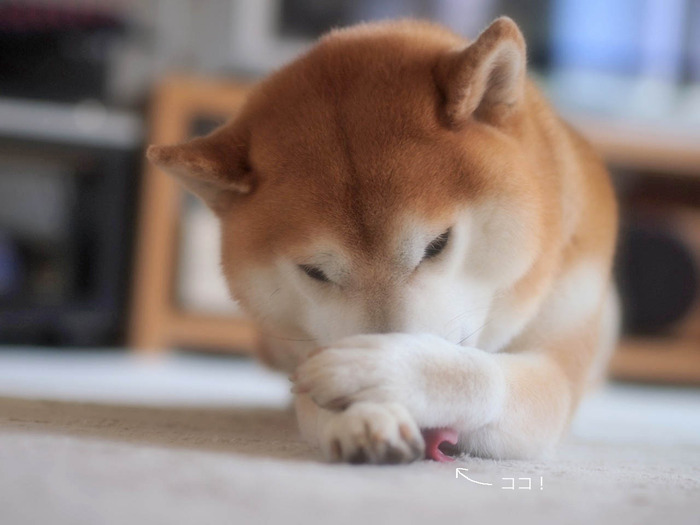 12日ブログ8