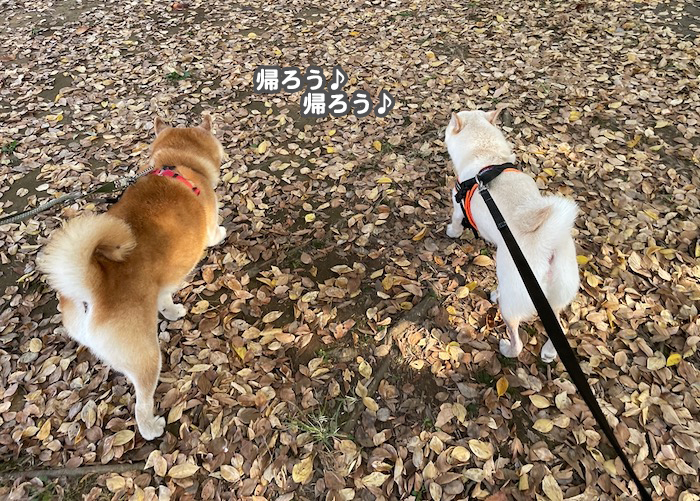 5日夕ブログ１４