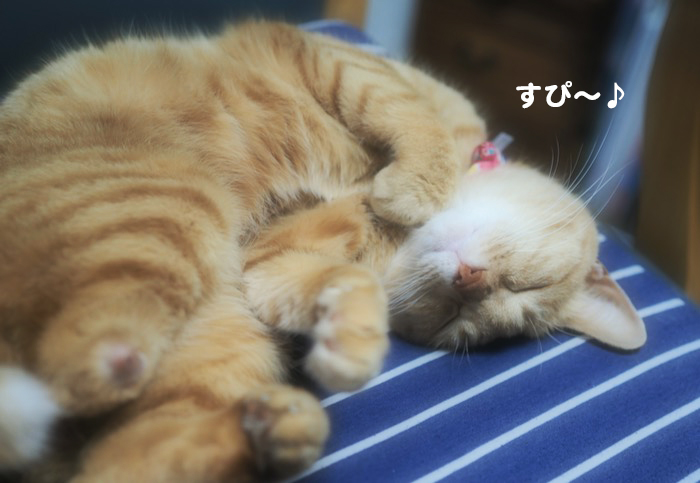 9日夕ブログ２