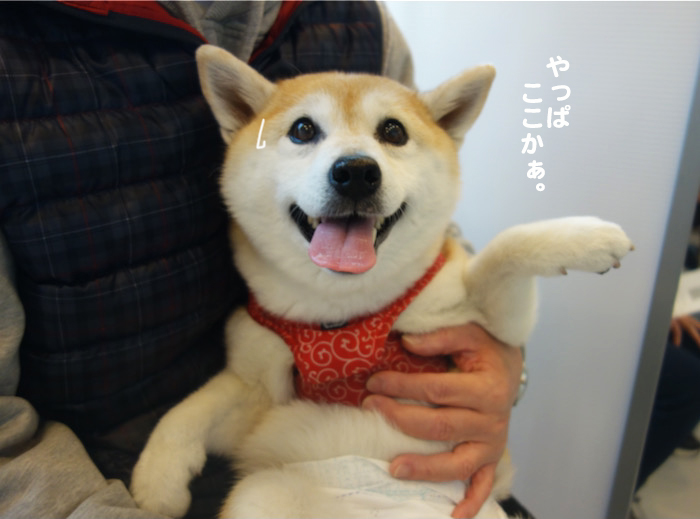 26日夜ブログ３